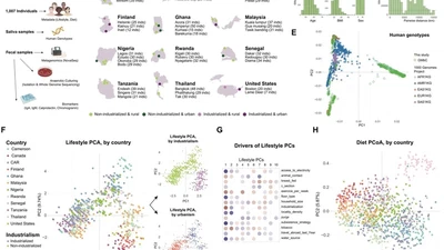 Industrialization drives convergent microbial and physiological shifts in the human metaorganism featured image