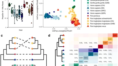 Functional host-specific adaptation of the intestinal microbiome in hominids featured image